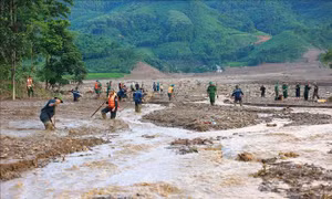 Bộ Giáo dục và Đào tạo đề nghị miễn giảm học phí, hỗ trợ sinh viên bị thiệt hại do bão số 3