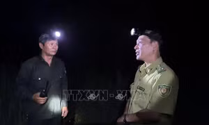 Xuyên đêm giữ rừng khỏi 'giặc lửa'