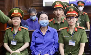 Trương Mỹ Lan xin gỡ kê biên cổ phần tại nhiều công ty để khắc phục hậu quả vụ án