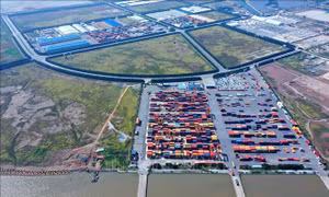 Hải Phòng - trung tâm dịch vụ logistics khu vực - Bài 1: Nhiều tiềm năng lợi thế