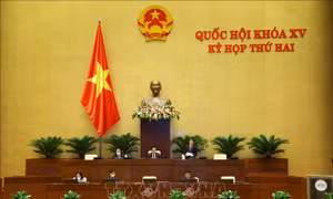 Hoàn thiện hệ thống chỉ tiêu thống kê quốc gia theo hướng bao quát