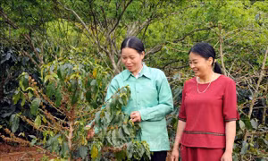 Phụ nữ Sơn La 'Tự tin, tự trọng, trung hậu, đảm đang'