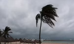 Jamaica đóng cửa hai sân bay và mở hầm trú ẩn tránh bão Melissa