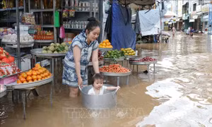 Cảnh báo triều cường ở ven biển phía Đông Nam Bộ và lũ trên sông Cửu Long