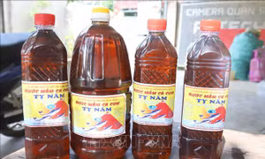 Đánh thức làng nghề nước mắm truyền thống ở xã bãi ngang Diễn Bích