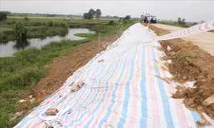 Vụ sụt lún gần 1km mái đê tả sông Mã: Lãnh đạo tỉnh Thanh Hoá yêu cầu xử lý khẩn cấp