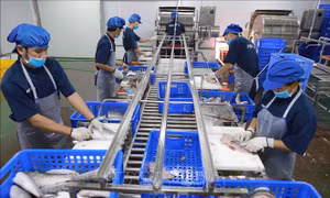 Đẩy mạnh chuyển đổi số trong khu vực kinh tế hợp tác, hợp tác xã