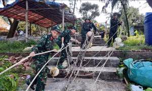 Chuẩn bị các phương án ứng phó với bão số 3