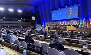 Việt Nam tham gia vào quá trình điều hành, định hình các chính sách của UNESCO