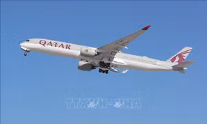 Airbus hủy đơn đặt hàng máy bay của Qatar Airways