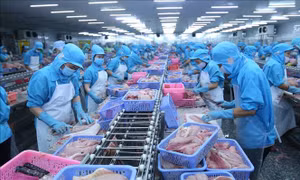 Doanh nghiệp Việt Nam ngày càng quan tâm tới thị trường châu Phi