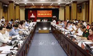 Tuyên Quang nỗ lực phục hồi kinh tế sau bão số 3   