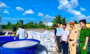 Bắt giữ, xử lý nhiều đối tượng, vụ việc phạm pháp