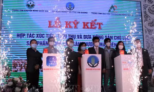 Kết nối cung cầu nông sản chủ lực Hải Dương và các tỉnh phía Bắc