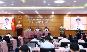Bảo vệ người dám nghĩ, dám làm, dám đột phá vì lợi ích chung
