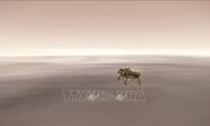Tàu đổ bộ InSight của NASA phát hiện thiên thạch đâm vào Sao Hỏa