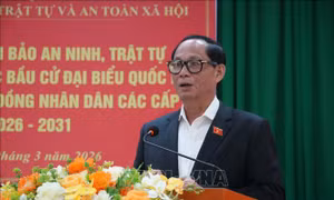 Chuẩn bị thẻ cử tri để phát cho du khách Việt không kịp về trong ngày bầu cử
