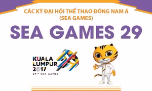 Thông tin về Đại hội thể thao Đông Nam Á lần thứ 29 (SEA Games 29)