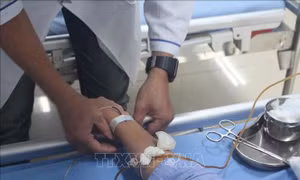 Ngày Thalassemia thế giới 8/5: Tầm quan trọng của tầm soát trước hôn nhân