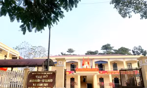 Tinh gọn bộ máy: Bước chuyển từ quản lý đơn thuần sang điều hành phát triển