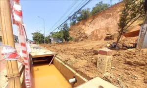 Đồng Nai: Đôn đốc thực hiện dự án cấp bách xử lý tạm thời sạt lở đất đồi 