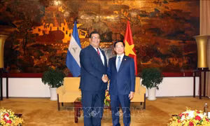 Thúc đẩy mối quan hệ hợp tác hữu nghị giữa Việt Nam - Nicaragua