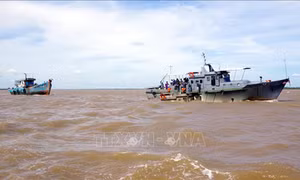 Các sự cố trên biển đã được cứu hộ cứu nạn kịp thời