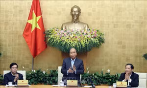 Thủ tướng chủ trì hội nghị thúc đẩy phát triển công nghiệp chế biến nông sản và cơ giới hóa nông nghiệp