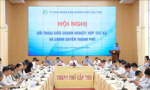 Cần Thơ yêu cầu giải quyết dứt điểm các kiến nghị của doanh nghiệp