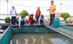 Gỡ vướng hạ tầng, cơ chế cho mô hình du lịch cộng đồng Cồn Sơn