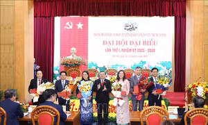 Khai mạc phiên trù bị Đại hội đại biểu Đảng bộ Cơ quan Ban Tuyên giáo và Dân vận Trung ương lần thứ I
