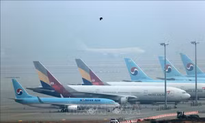 Korean Air sẽ thâu tóm lại Asiana Airlines với giá 1,6 tỷ USD