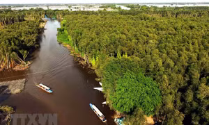Phát triển du lịch ở vùng đất cửa ngõ Tây Nam Bộ - Bài cuối: Tăng liên kết, tạo đường tour hấp dẫn 