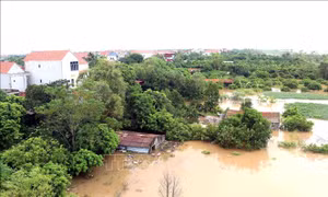Hưng Yên phát lệnh báo động I trên tuyến đê tả sông Luộc, sông Hồng