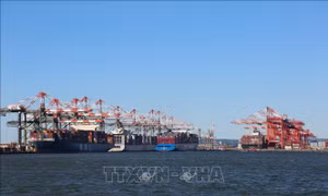 Thuế quan của Mỹ làm giảm lợi nhuận của ngành vận tải biển