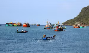 Phê duyệt Chương trình điều tra, đánh giá tổng thể nguồn lợi thủy sản