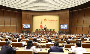 Ngày 21/11, Quốc hội thảo luận hai dự án Luật 