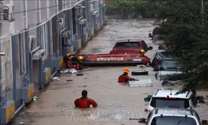 Hàn Quốc đưa thêm 11 khu vực vào danh sách vùng thảm họa đặc biệt vì mưa lũ