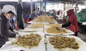 Làng nghề mứt gừng Mỹ Chánh 'nhộn nhịp' vào vụ đón Tết