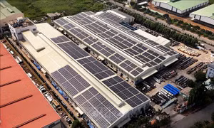 Giảm phát thải khí nhà kính từ việc ban hành tín chỉ carbon