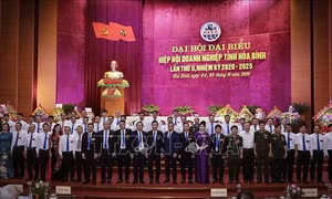 Phát huy vai trò cầu nối giữa doanh nghiệp và các cơ quan quản lý