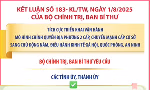 Kết luận số 183- KL/TW: Nhiệm vụ của các tỉnh ủy, thành ủy
