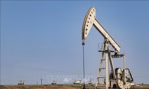 Một loạt quốc gia OPEC+ tự nguyện cắt giảm sản lượng dầu mỏ