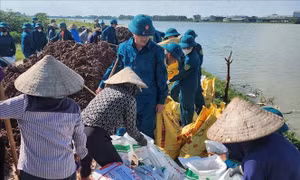 Khẩn trương xử lý khắc phục sự cố vỡ đê bối tại Tiên Lục (Bắc Ninh)