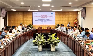 Na Uy tài trợ Việt Nam nghiên cứu lai tạo các giống lúa thích ứng với biến đổi khí hậu