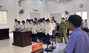 Tuyên án hàng loạt bị cáo mua bán người dưới 16 tuổi