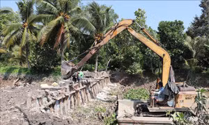 Phòng chống hạn mặn: Bảo vệ an toàn cho diện tích thanh long