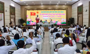 Kỳ họp đột xuất, HĐND tỉnh Đồng Tháp thông qua 18 Nghị quyết