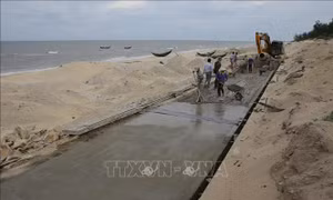 Thừa Thiên - Huế khắc phục các điểm sạt lở bờ biển