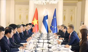 Tổng Bí thư Tô Lâm hội đàm với Tổng thống Phần Lan Alexander Stubb